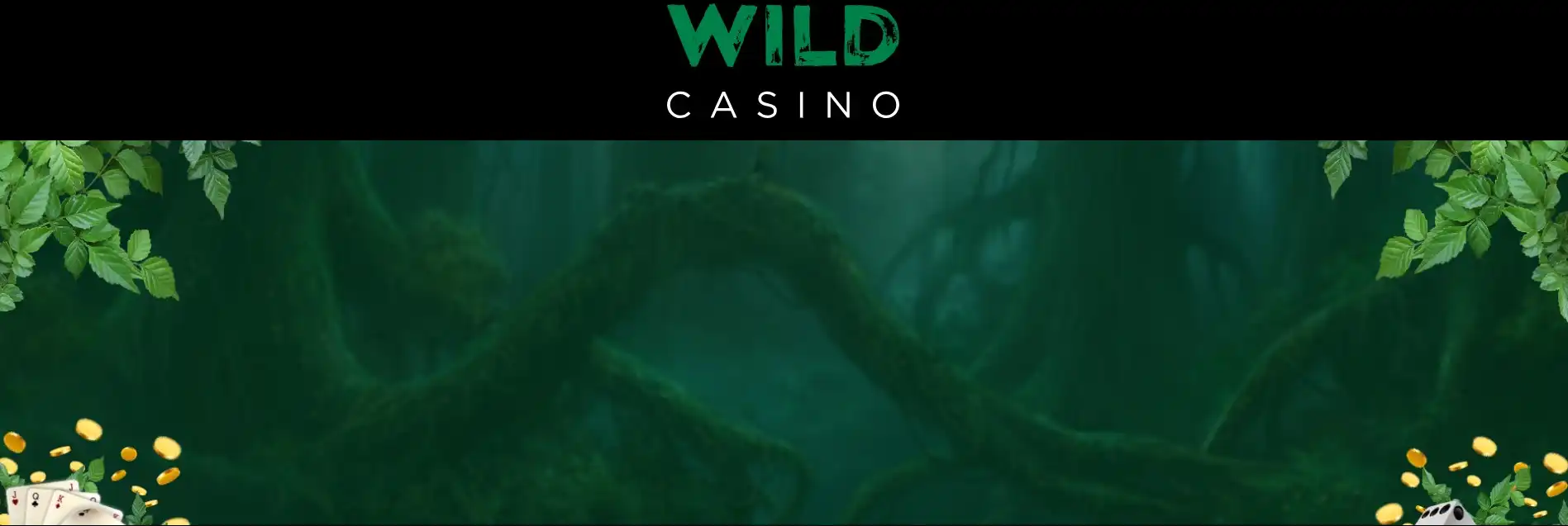 Wild Casino Revizuire